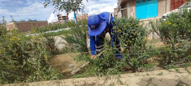 MANTIENEN ÁREAS VERDES Y MEJORAN ORNATO EN CHILCA