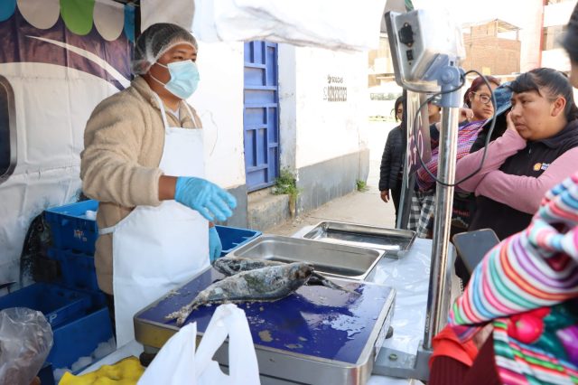 VENDEN POTA A PRECIO BAJO EN CHILCA