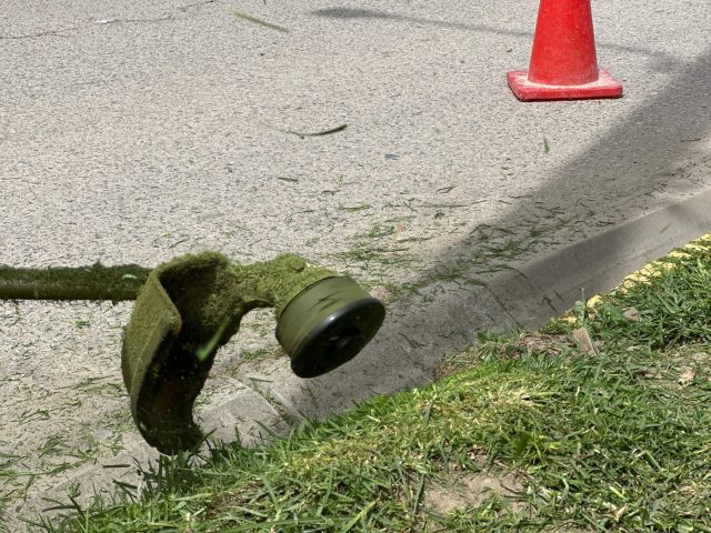 CON PLANTACIONES Y LIMPIEZA CALLE REAL RECUPERA SU IMAGEN