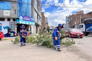 CHILCA VERDE CONTINÚA RECUPERANDO JARDINES Y BERMAS DEL DISTRITO