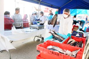FESTIVAL DE LA POTA LLEGA A CHILCA CON VENTA A SOLO 4 SOLES EL KILO
