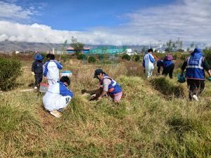 ALUMNOS DEL SAN JUAN BOSCO SIEMBRAN PINOS EN AUQUIMARCA