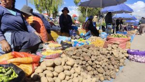 PRODUCTORES DE HUANCAVELICA TRAEN LO MEJOR DE SUS CHACRAS A CHILCA
