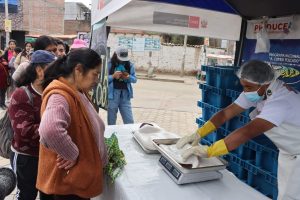 EN CHILCA VENDIERON POTA A SOLO 4 SOLES EL KILO