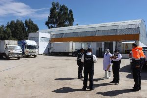 SANCIONAN A CAMAL EN AUQUIMARCA
