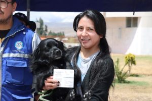 EN EL PRIMER DÍA DE LA CAMPAÑA GRATUITA, CIENTOS DE PERROS SON VACUNADOS CONTRA LA RABIA EN CHILCA